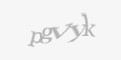 Κωδικός ασφαλείας